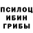 ГАШ Ice-O-Lator Nikita Ganyushkin