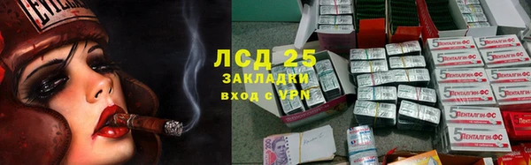 спайс Аркадак