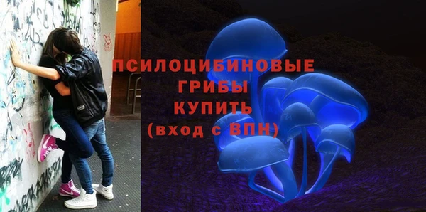 первитин Арсеньев