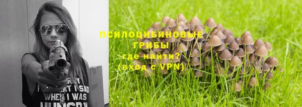 спайс Аркадак